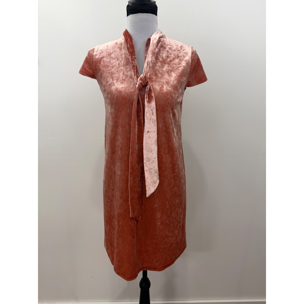 Madewell Crushed Velvet Tie Neck Dress Pink Terracotta XXS K1070 FA18